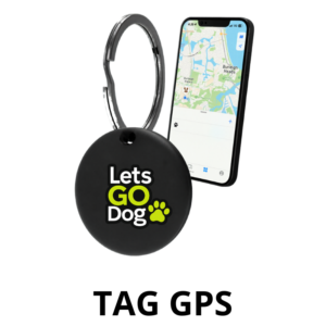 GPS